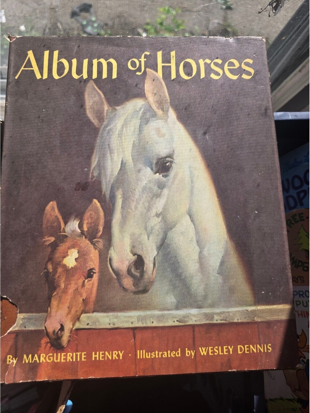 Album of Horses by Marguerite Henry, Illustrated by Wesley Dennis - Vintage Book